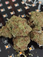 Agent  Orange 2.jpeg