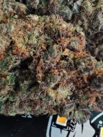 lemon lotus x herijuanna x og ff.jpeg