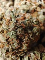 ajd sd  x chem 91 2 33.jpeg