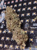 Ketosis zielone 1.jpeg