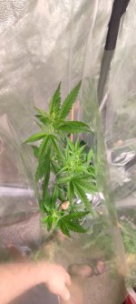 WhatsApp Image 2022-08-23 at 22.03.01 (1).jpeg