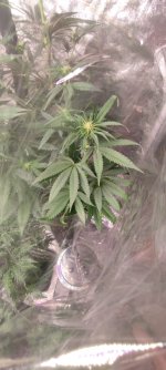 WhatsApp Image 2022-08-23 at 22.03.01.jpeg