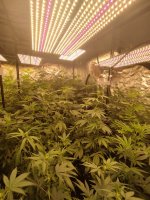 WhatsApp Image 2022-08-23 at 14.29.30 (1).jpeg