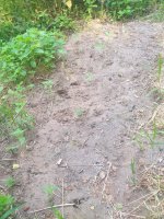 20230621_072326.jpg