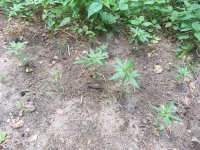 20230628_090539.jpg