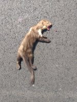 20230628_102032.jpg