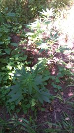 20230708_122331.jpg