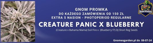 fa8d058fb957d3bd0a4ec7bfe2713bbab98c8916_Gnom Promka.jpg