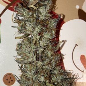 Originalhaze.jpeg