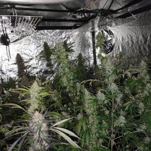 Zdjęcie WhatsApp 2022-12-14 o 18.45.33.jpg