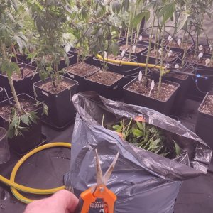 Zdjęcie WhatsApp 2022-12-14 o 18.45.32.jpg