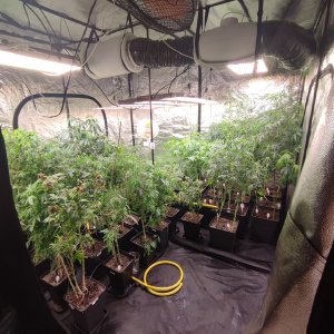 Zdjęcie WhatsApp 2022-12-14 o 18.45.321.jpg