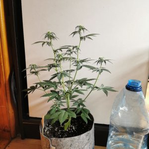 IMG_20230120_210523.jpg