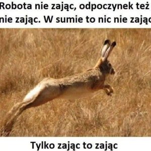 FB_IMG_1688047403556.jpg