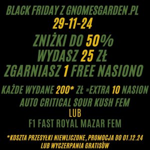 Black Friday.jpg
