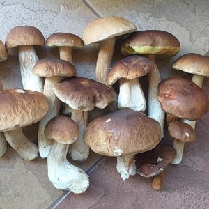 f78b5cd5-4bd8-4578-a0c0-201a73c10db1.jpg