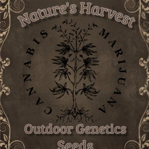 Black Neon Dia De Los Muertos Event A4 - Wykonano za pomoc PosterMyWall (2).jpg