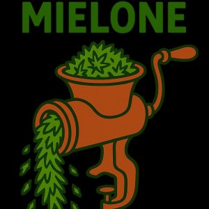 Zielone Mielone 💚