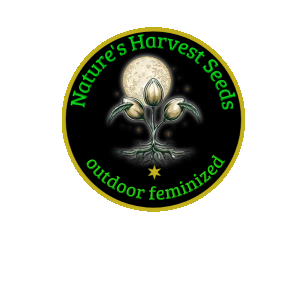 Cannabis Logo - Wykonano za pomoc PosterMyWall (3).png