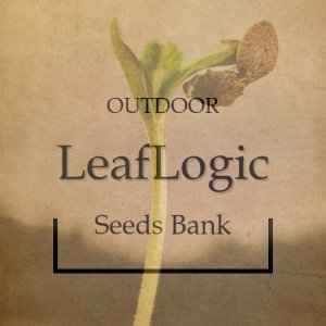 Natural Herbal Skincare Logo - Wykonano za pomoc PosterMyWall (7).jpg