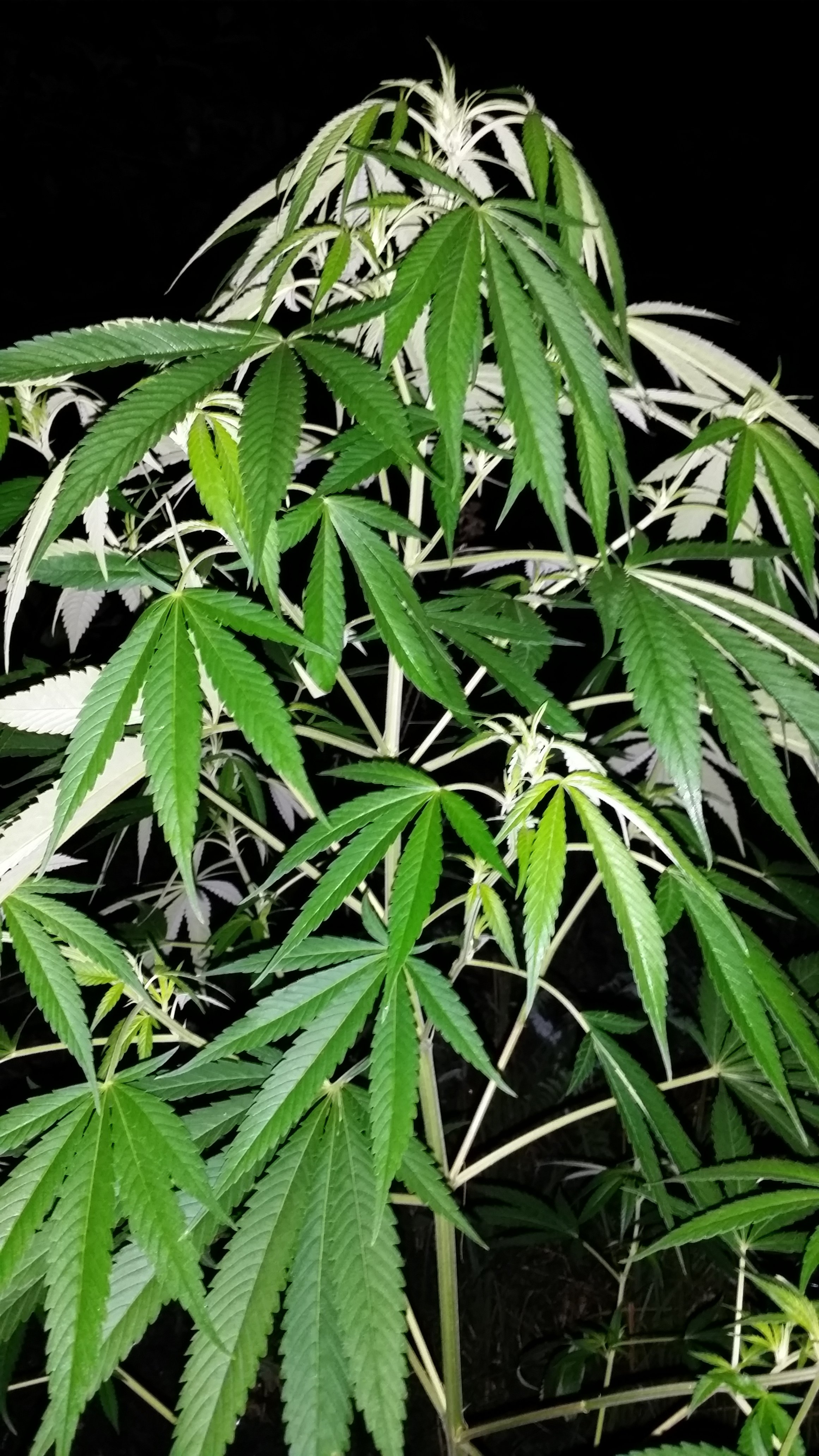 20230819_230130.jpg