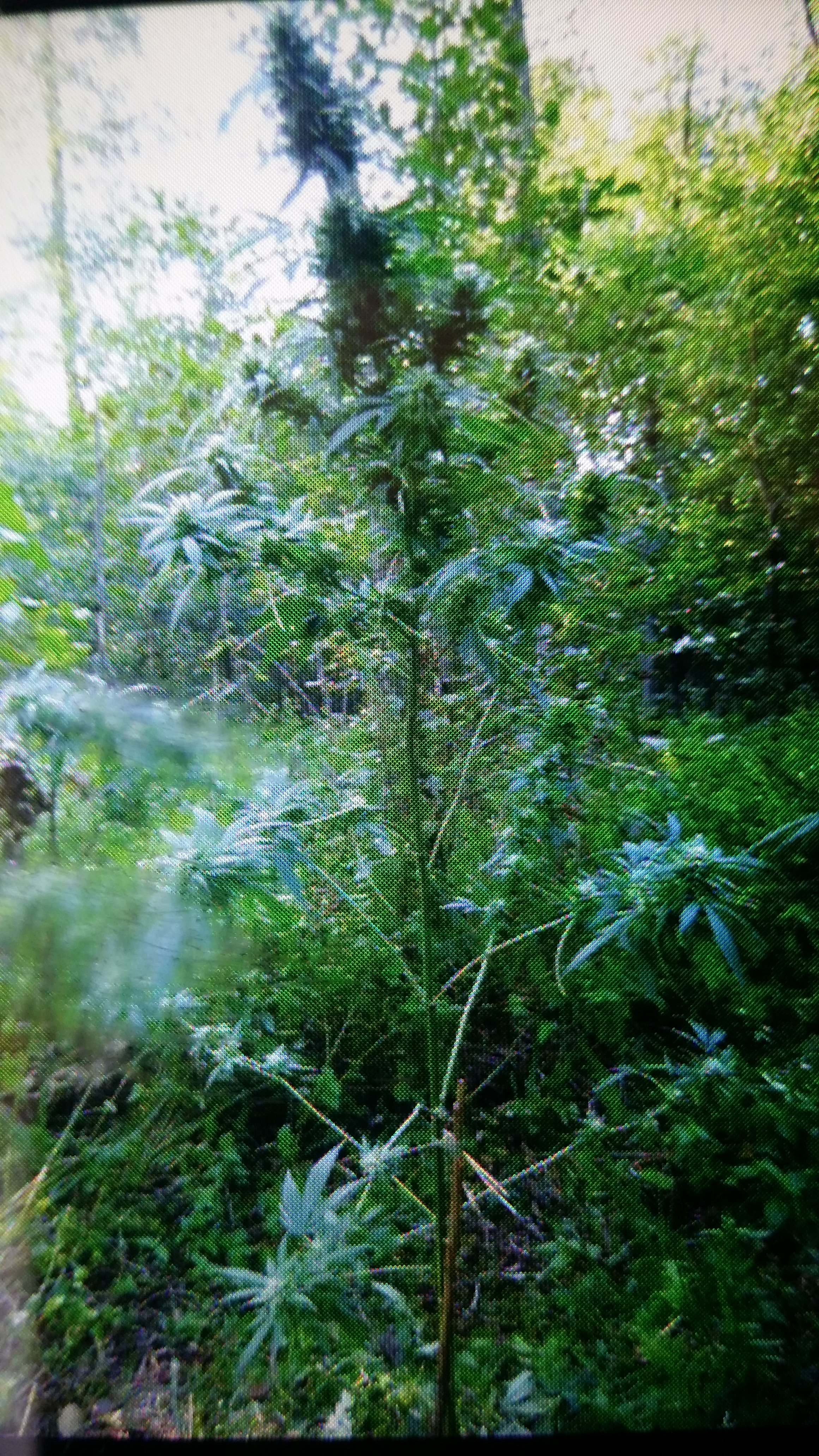 20230926_102654.jpg