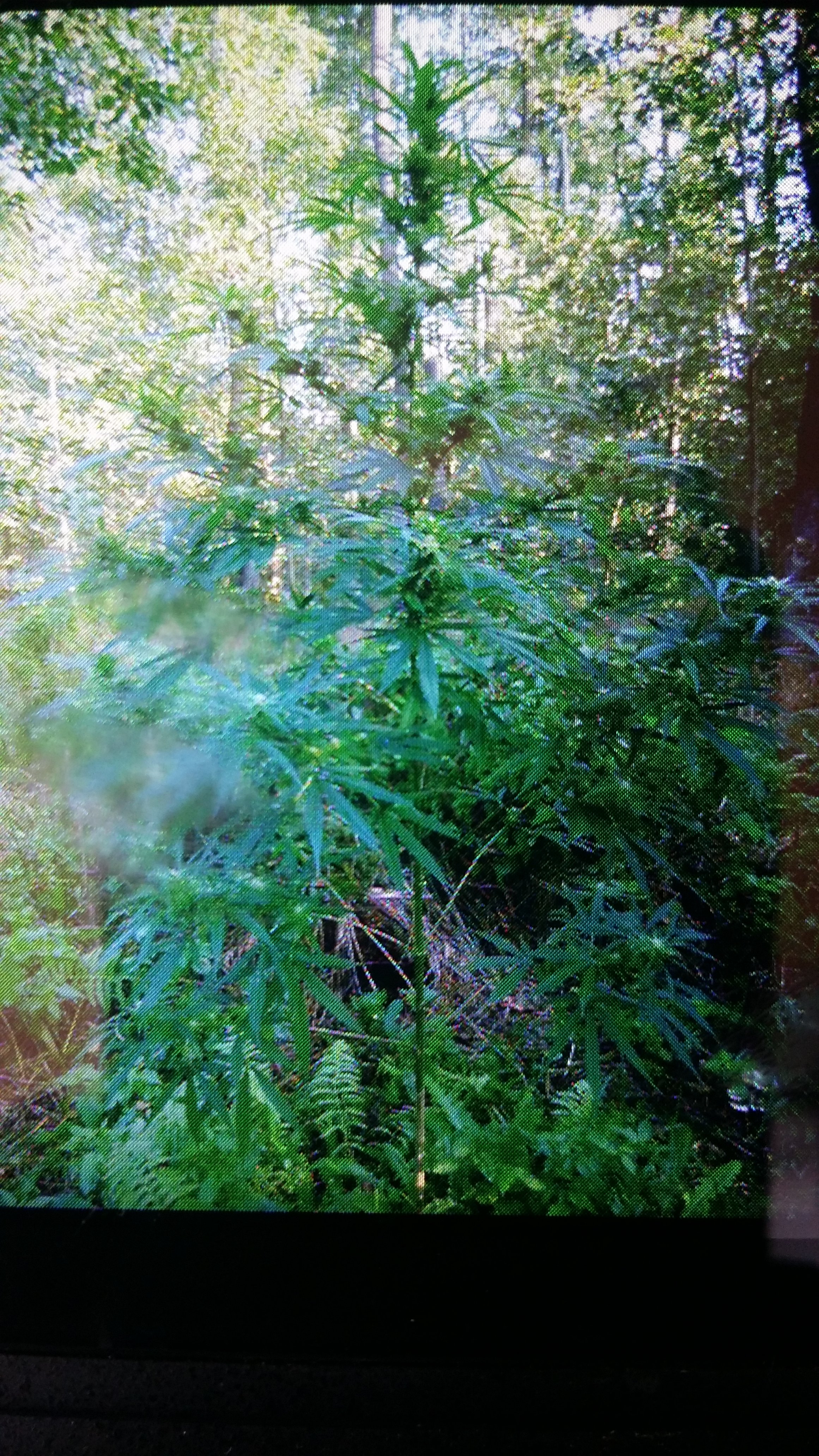20230926_102729.jpg