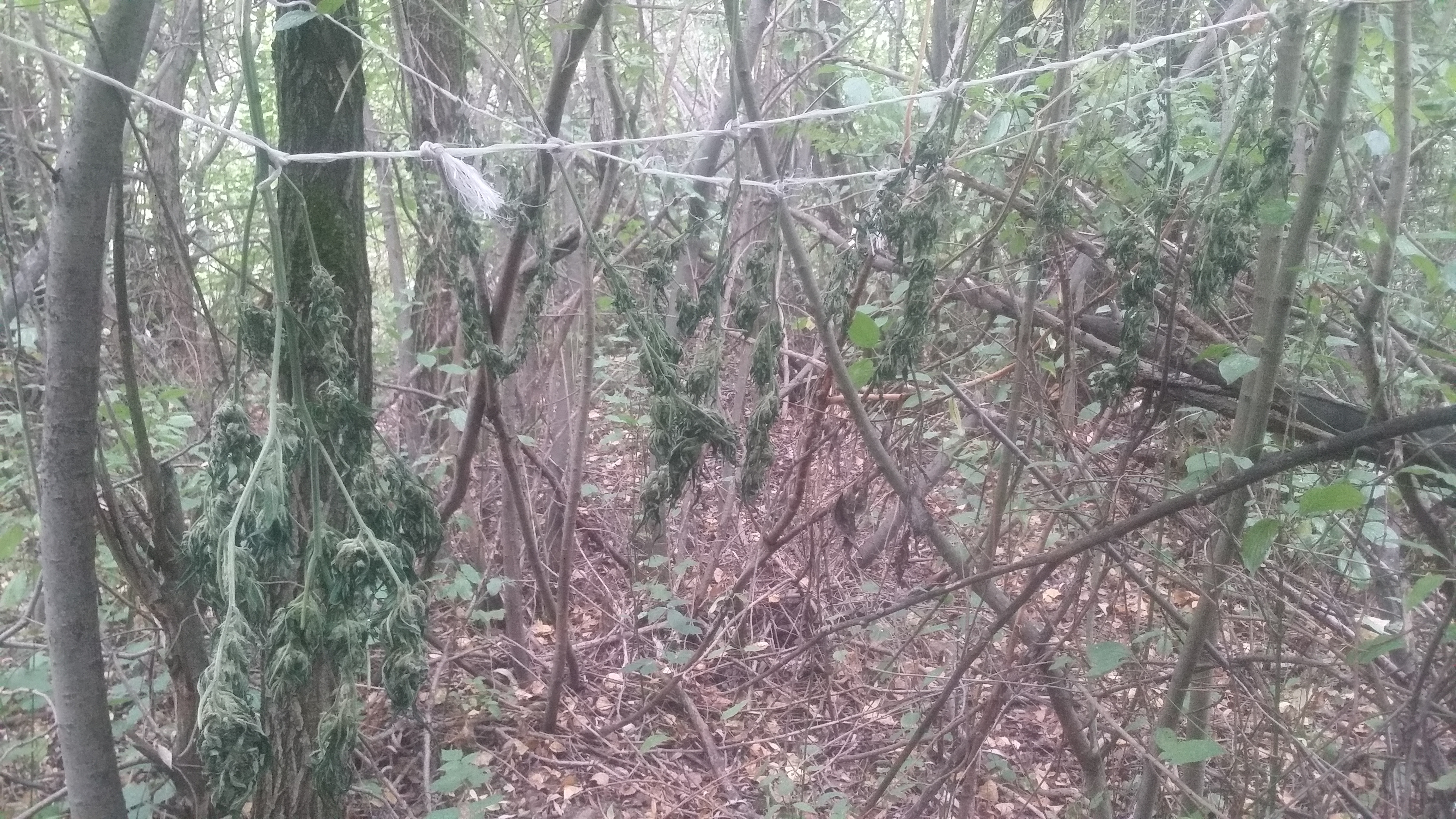 20230926_104207.jpg