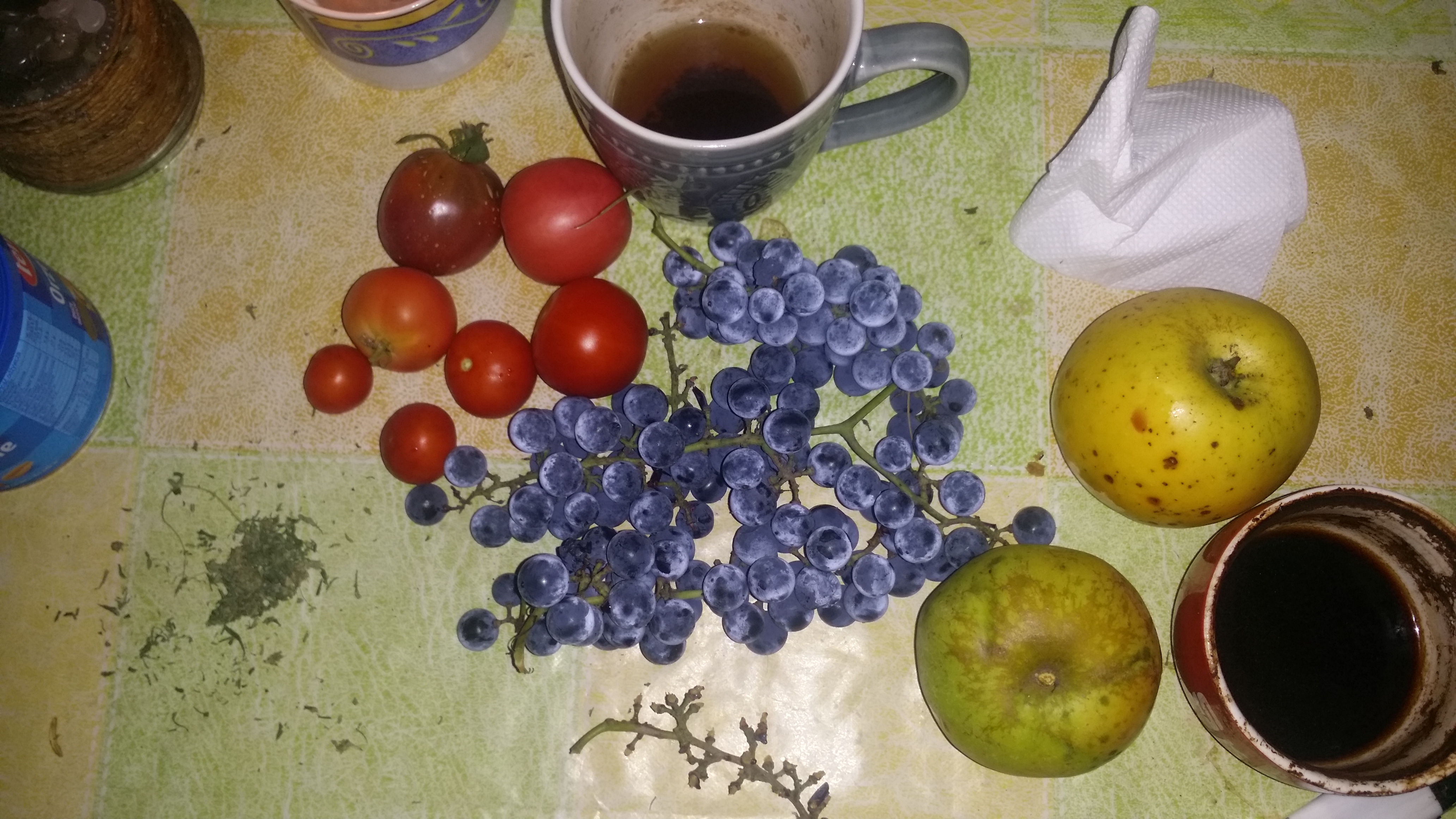 20231008_193244.jpg