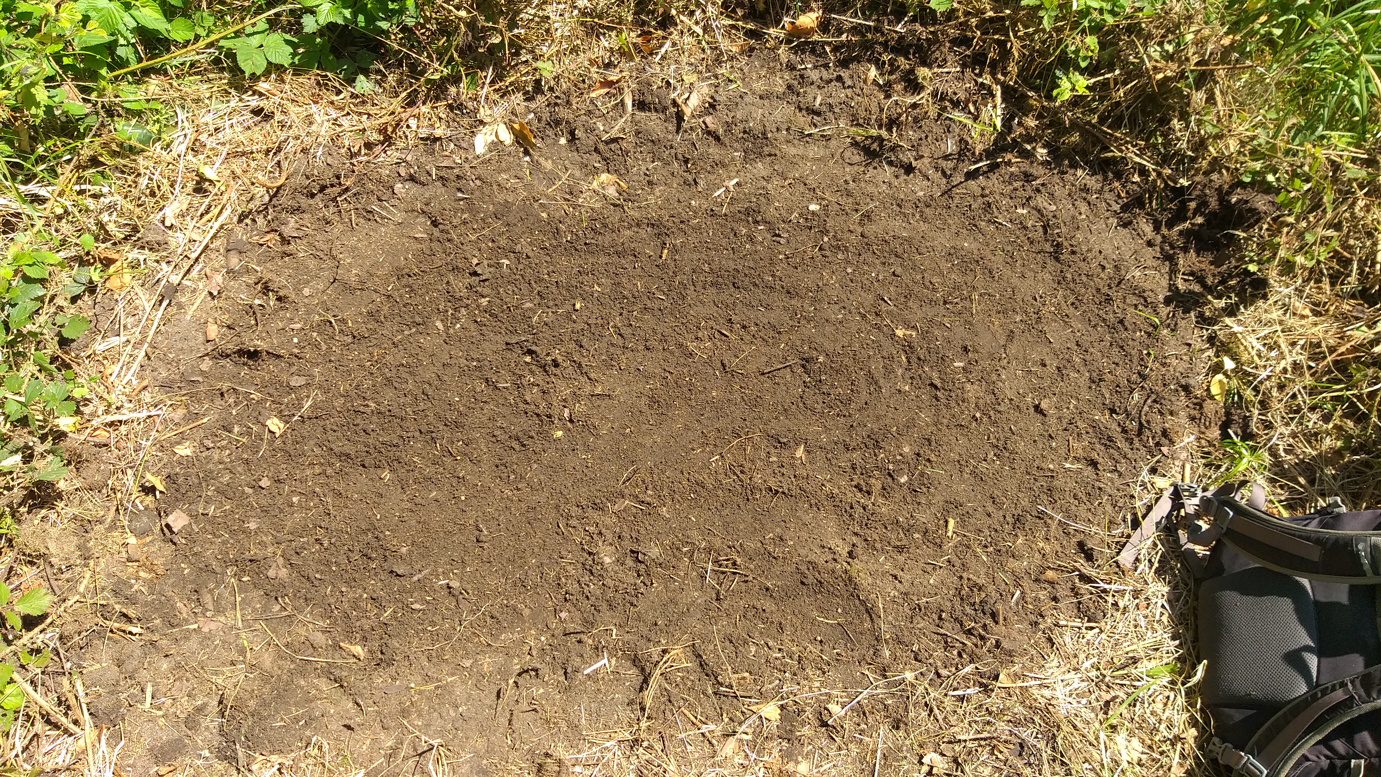 20250628_121756.jpg