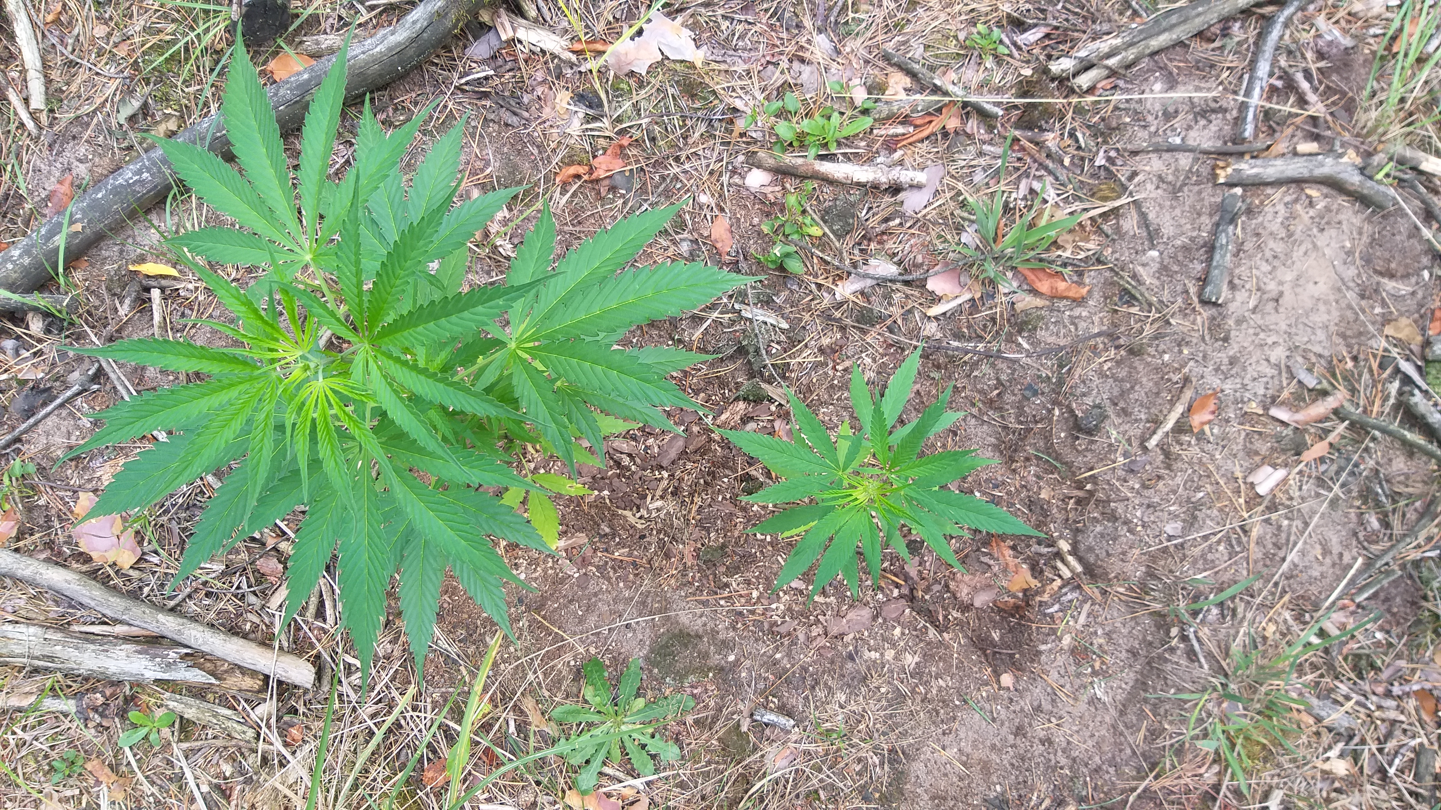 20250730_105225.jpg