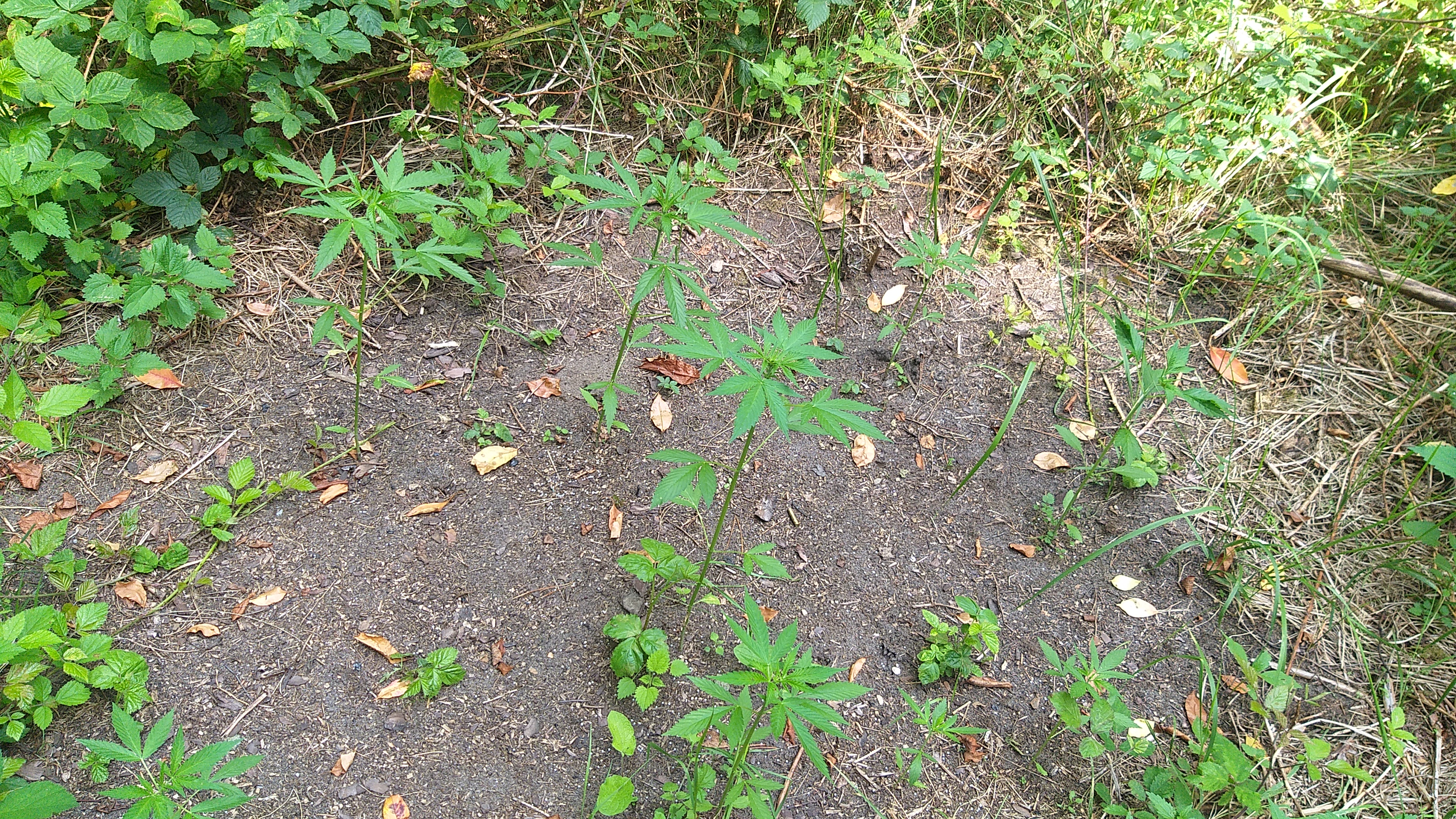 20250809_142642.jpg