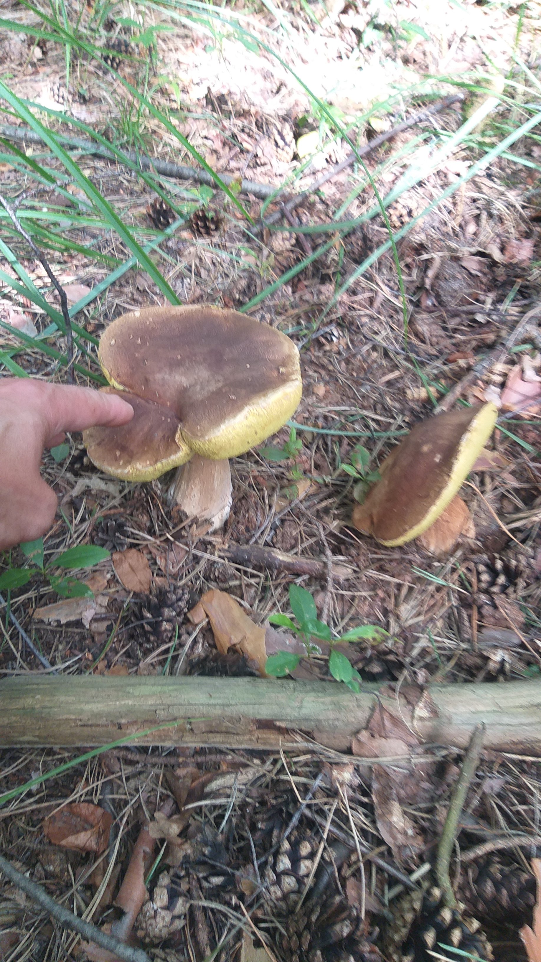 20250809_155034.jpg