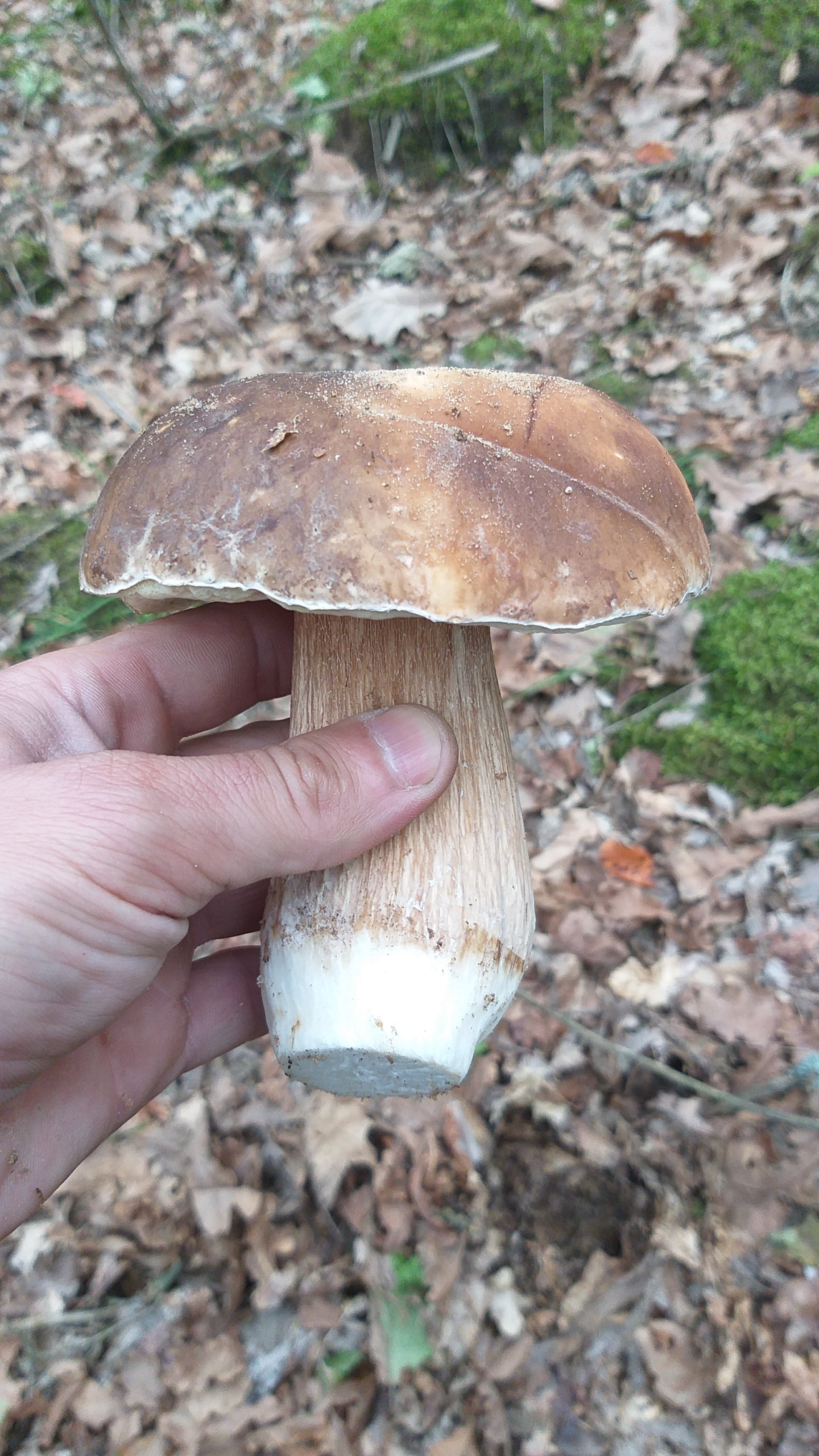 20250926_163836.jpg