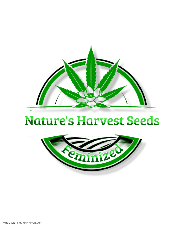 cannabis logo - Wykonano za pomoc PosterMyWall (2).jpg