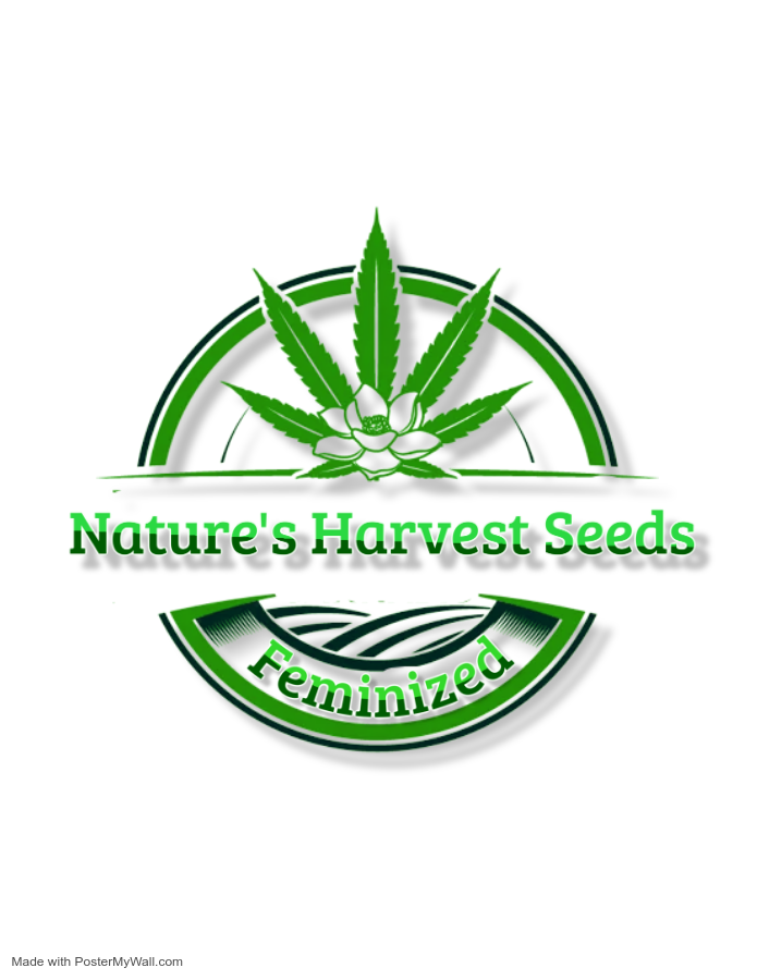 cannabis logo - Wykonano za pomoc PosterMyWall.png