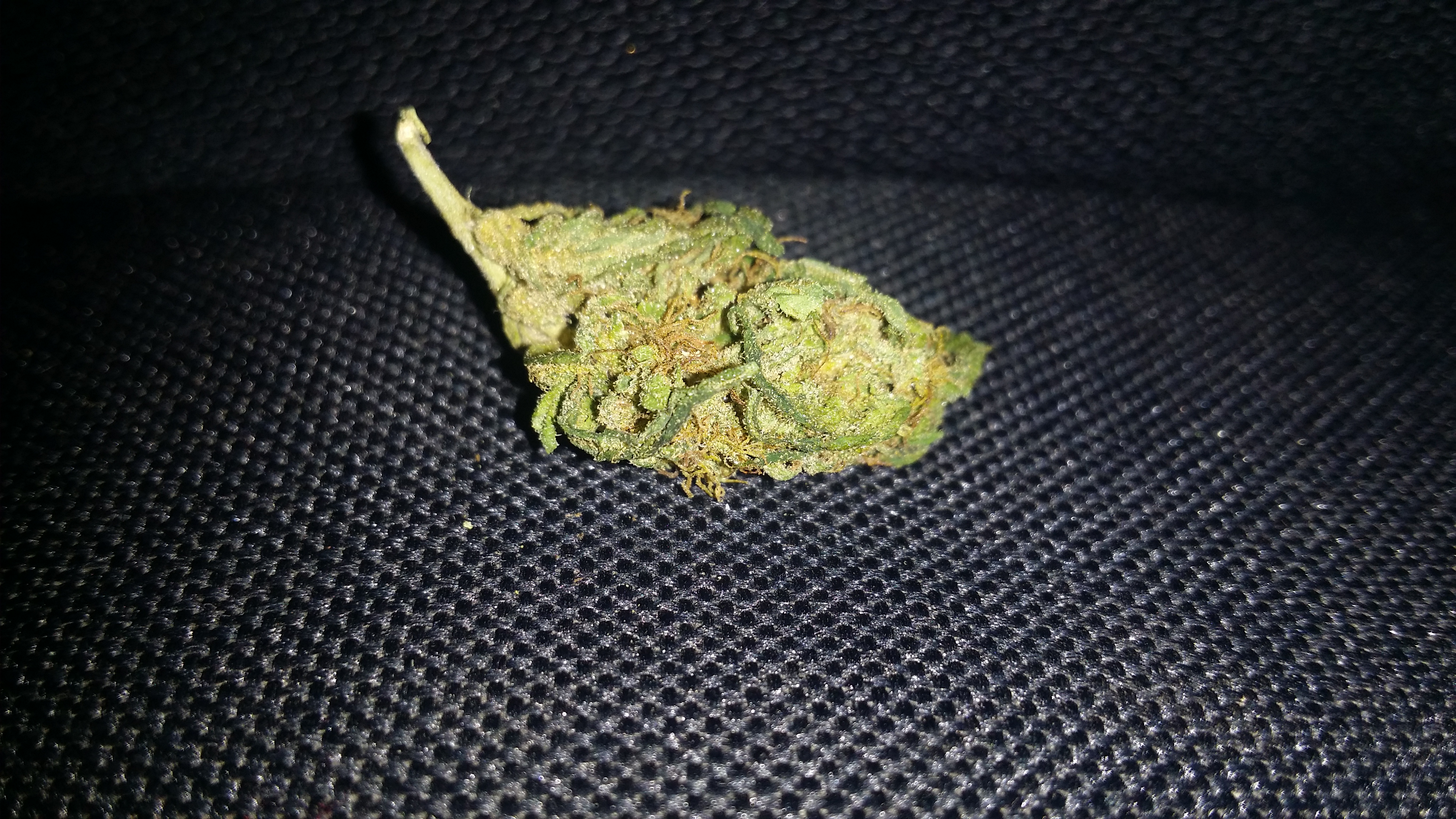 Critical sensi star