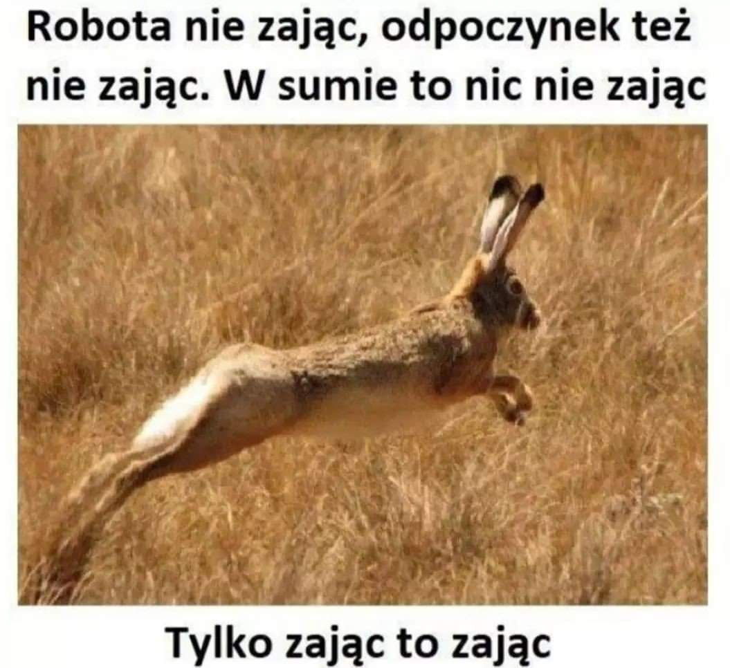 FB_IMG_1688047403556.jpg