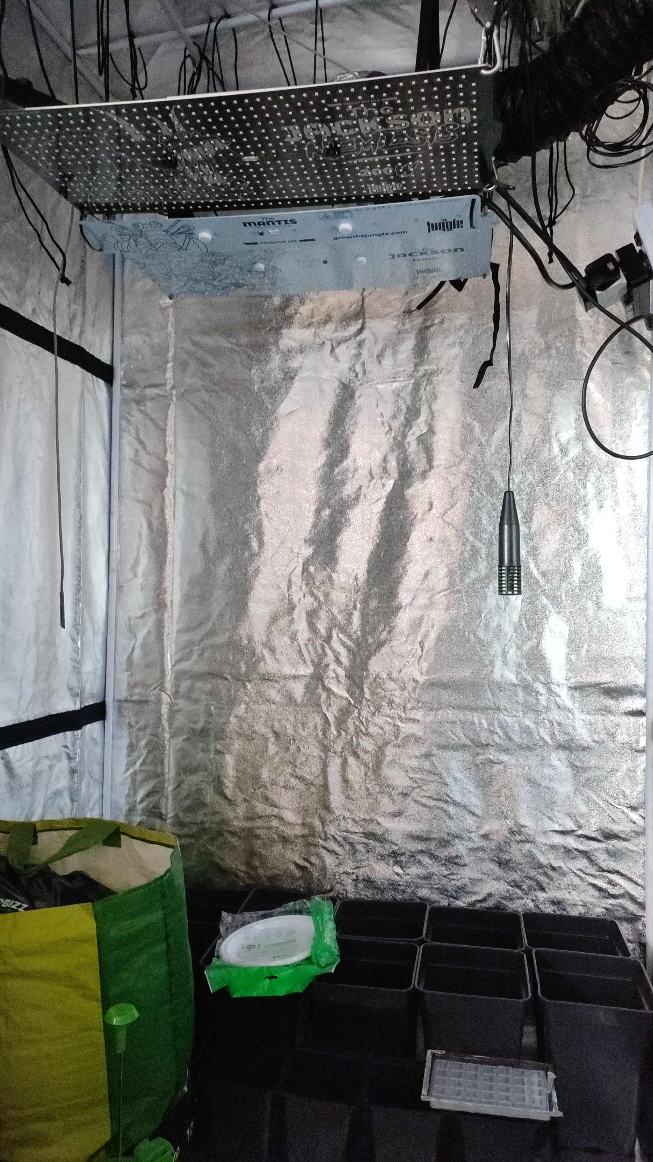 IMG-20211228-WA0019.jpeg