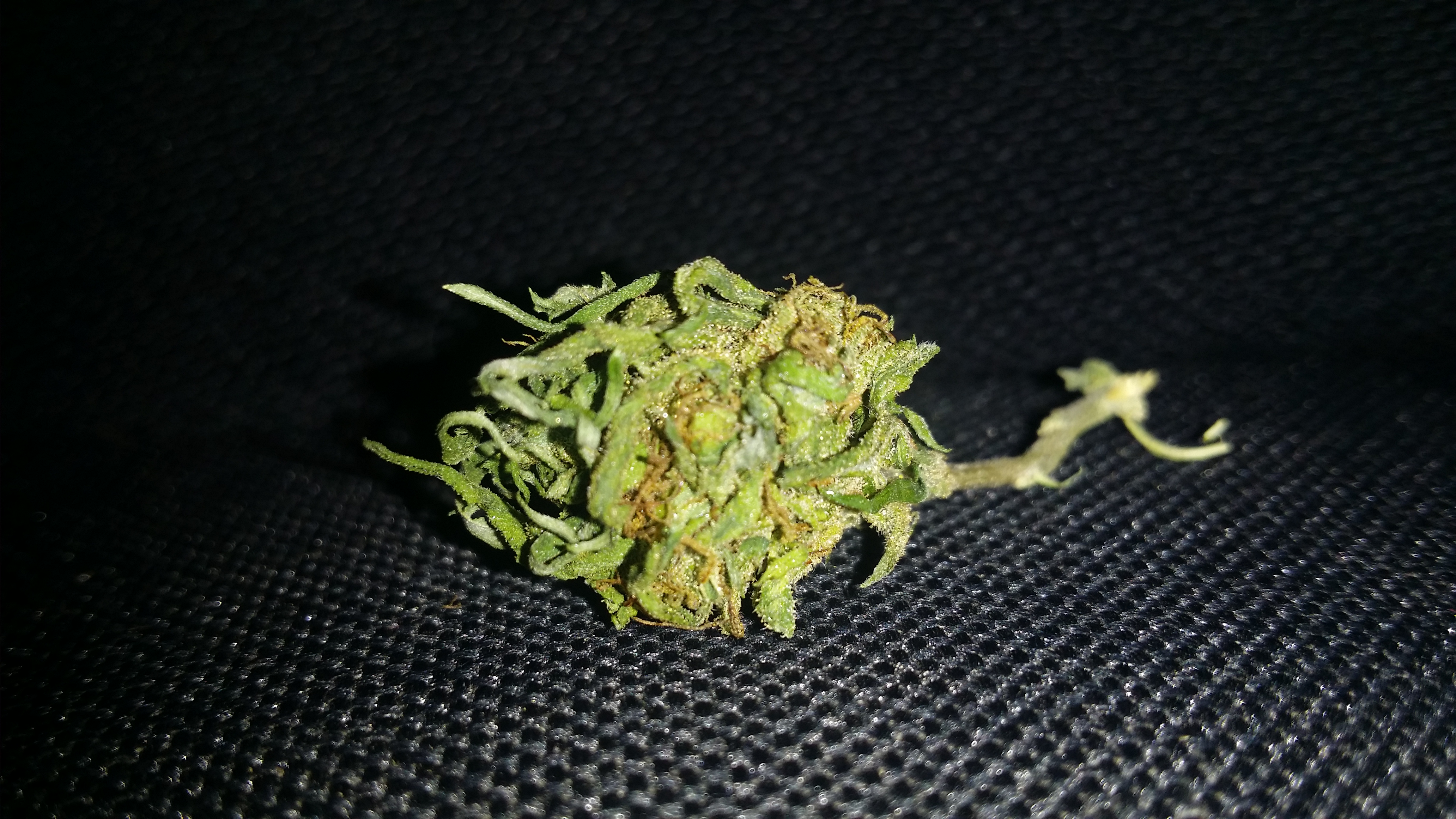 Mighty freezy