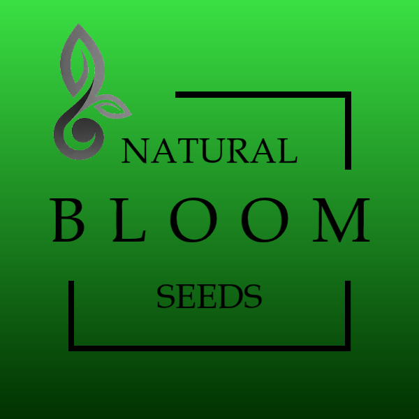 Natural Herbal Skincare Logo - Wykonano za pomoc PosterMyWall.jpg