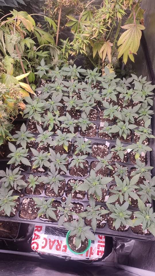 received_410906167253995.jpeg