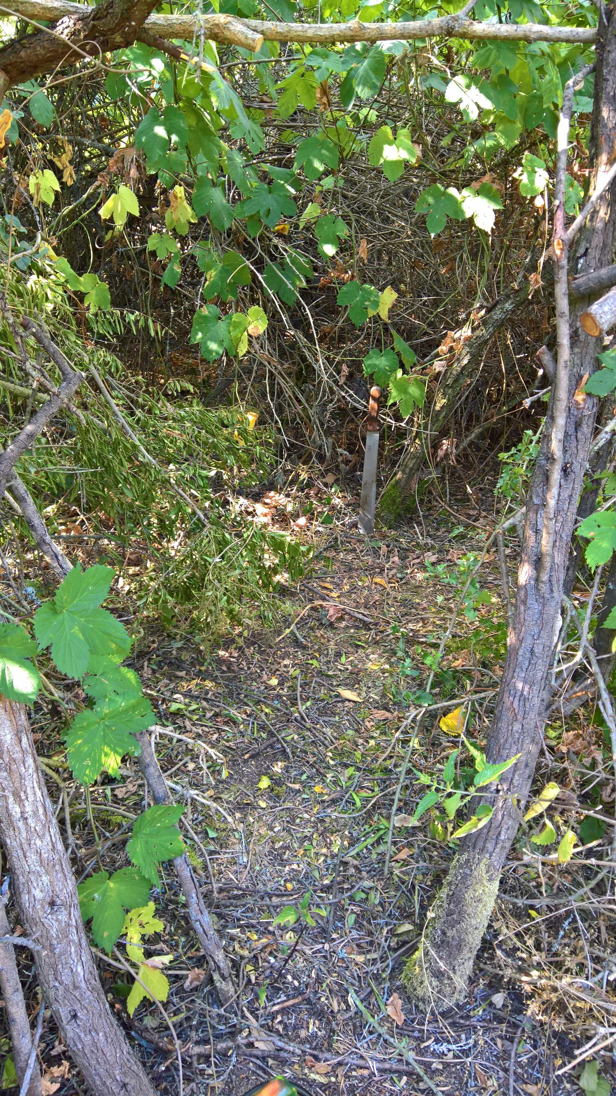 WP_20230718_16_07_42_Pro.jpg