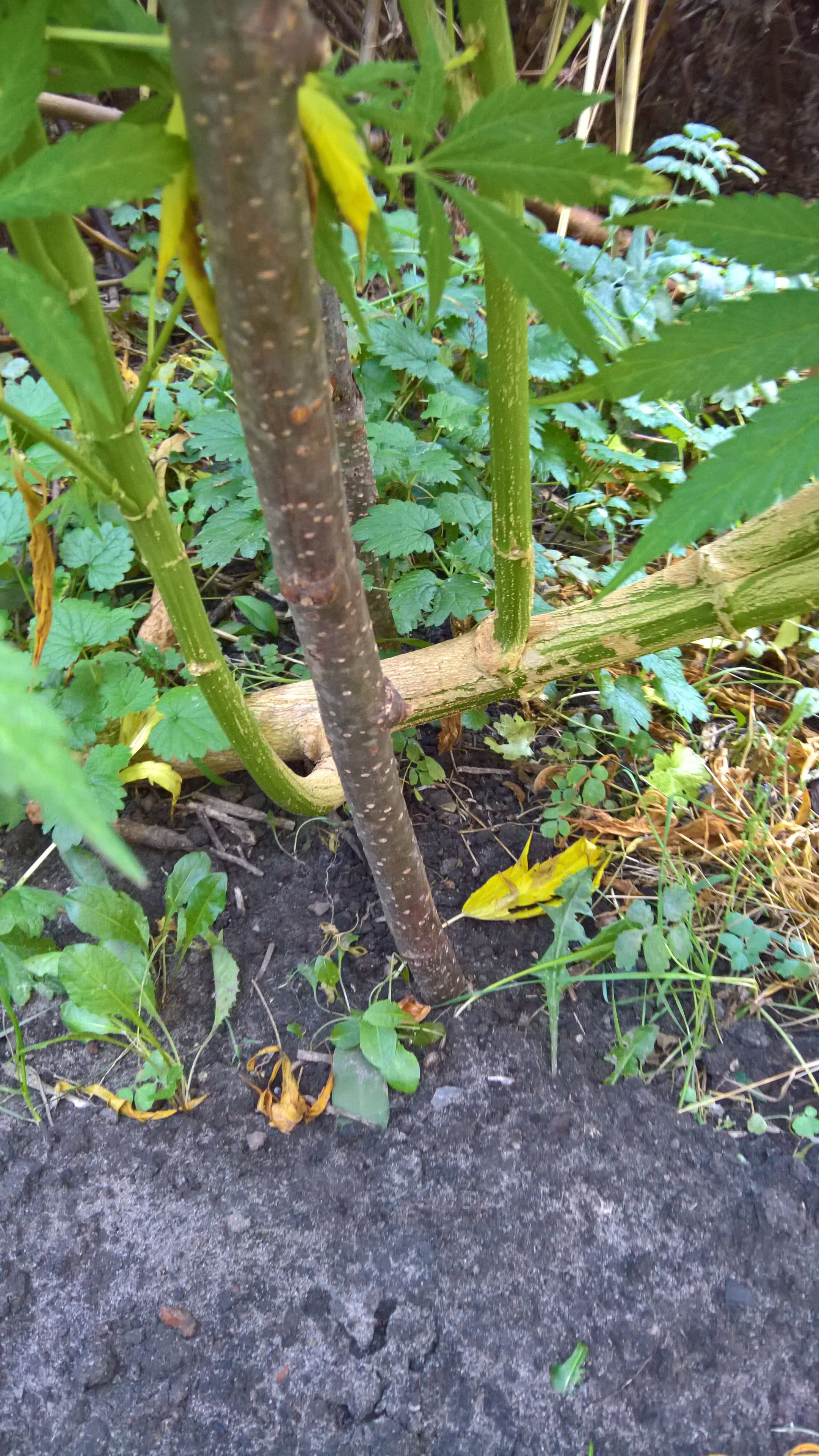 WP_20240910_17_35_37_Pro.jpg