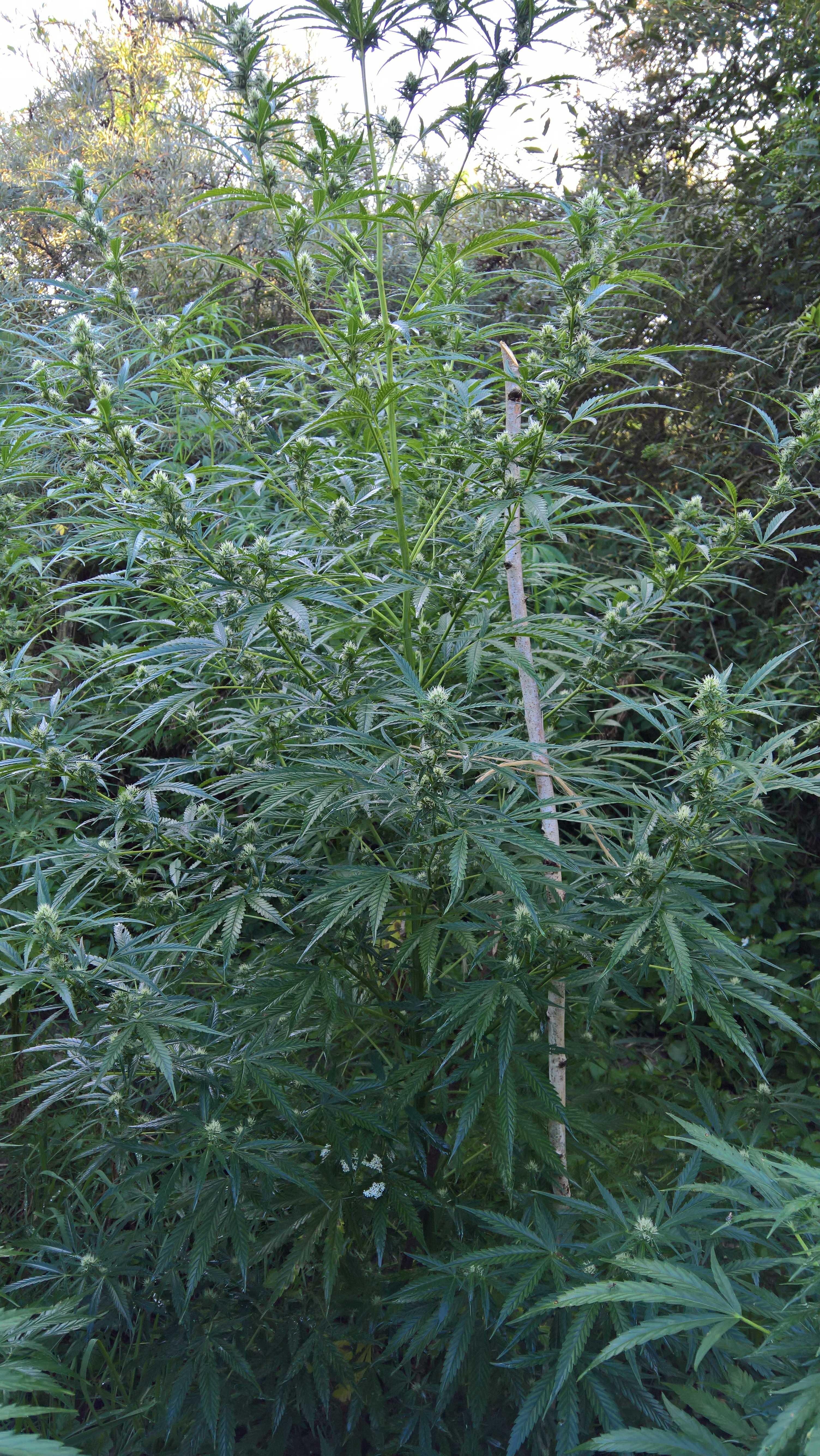 yqRU6CvHeUhhqvKxLAfD_16_3282285e6cf432c160698f61d38d28d5_image.jpg